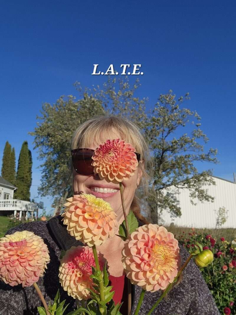 L A T E - Image 4