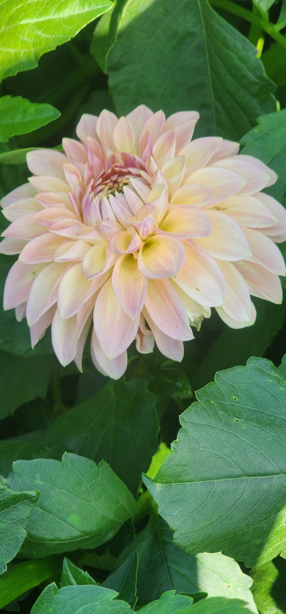 Bloomquist Alan - Image 4