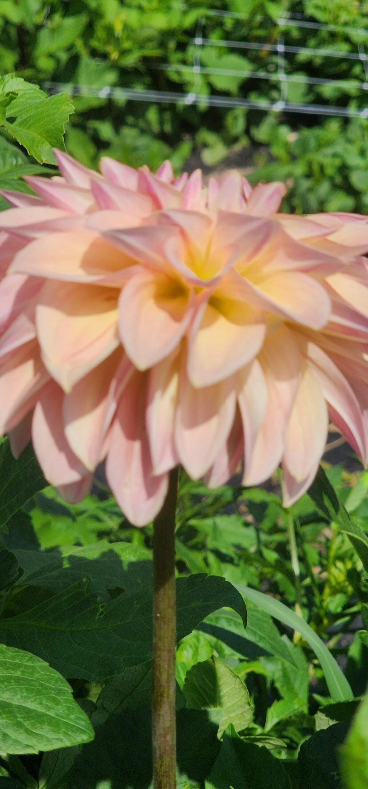 Bloomquist Alan - Image 6