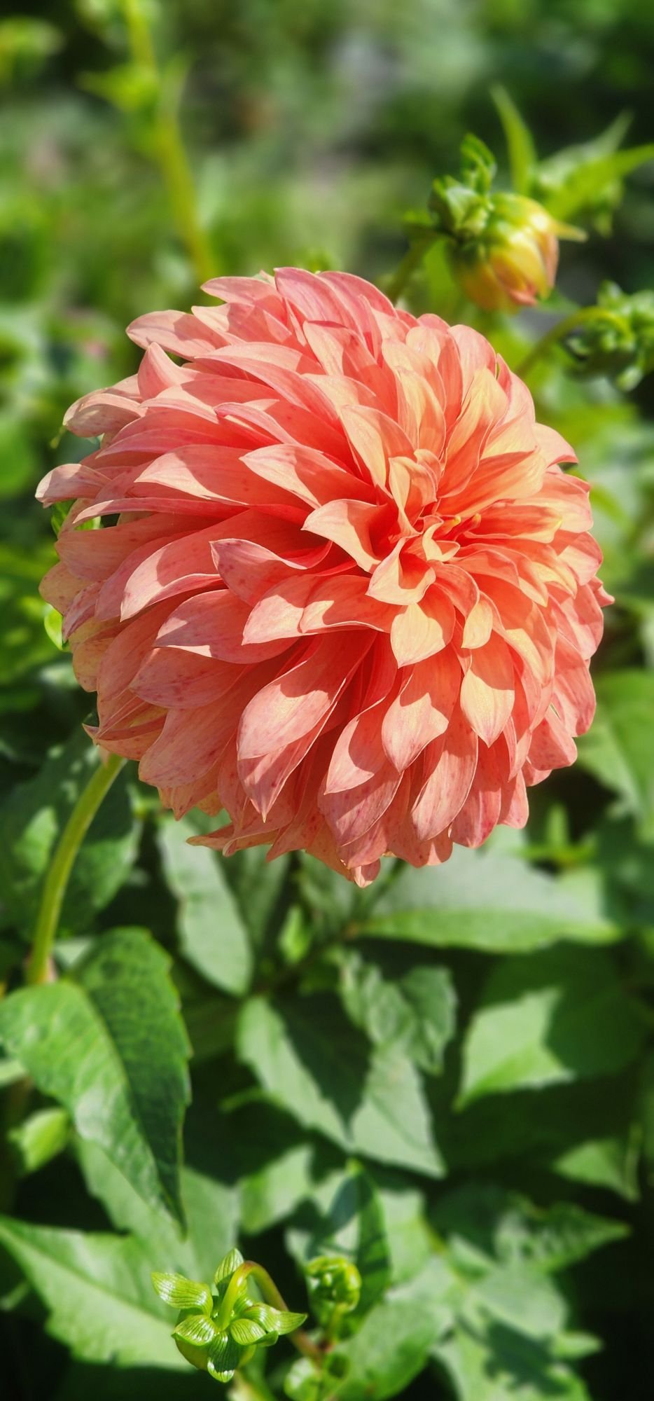 River's Can't Elope - Image 6